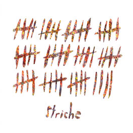 Album cover of Striche
