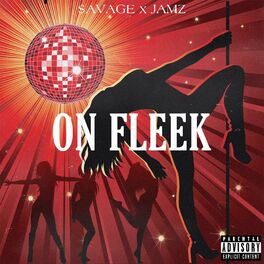 Album cover of On Fleek (feat. JAMZ)