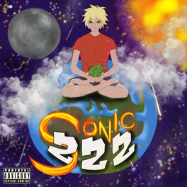 Album cover of Sieť 222