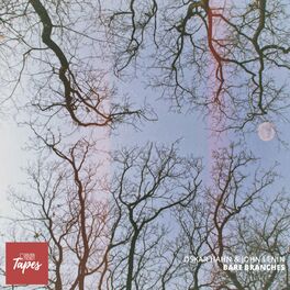 Album cover of Bare Branches