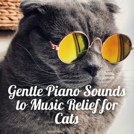 Album cover of Gentle Piano Sounds to Music Relief for Cats