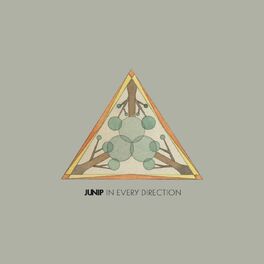 Album cover of In Every Direction
