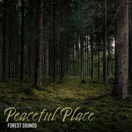 Album cover of Peaceful Place (Forest Sounds) - Gentle and Mesmerizing Natural Melodies for Restful Moments