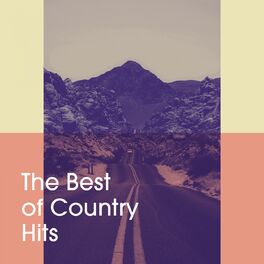 Album cover of The Best of Country Hits