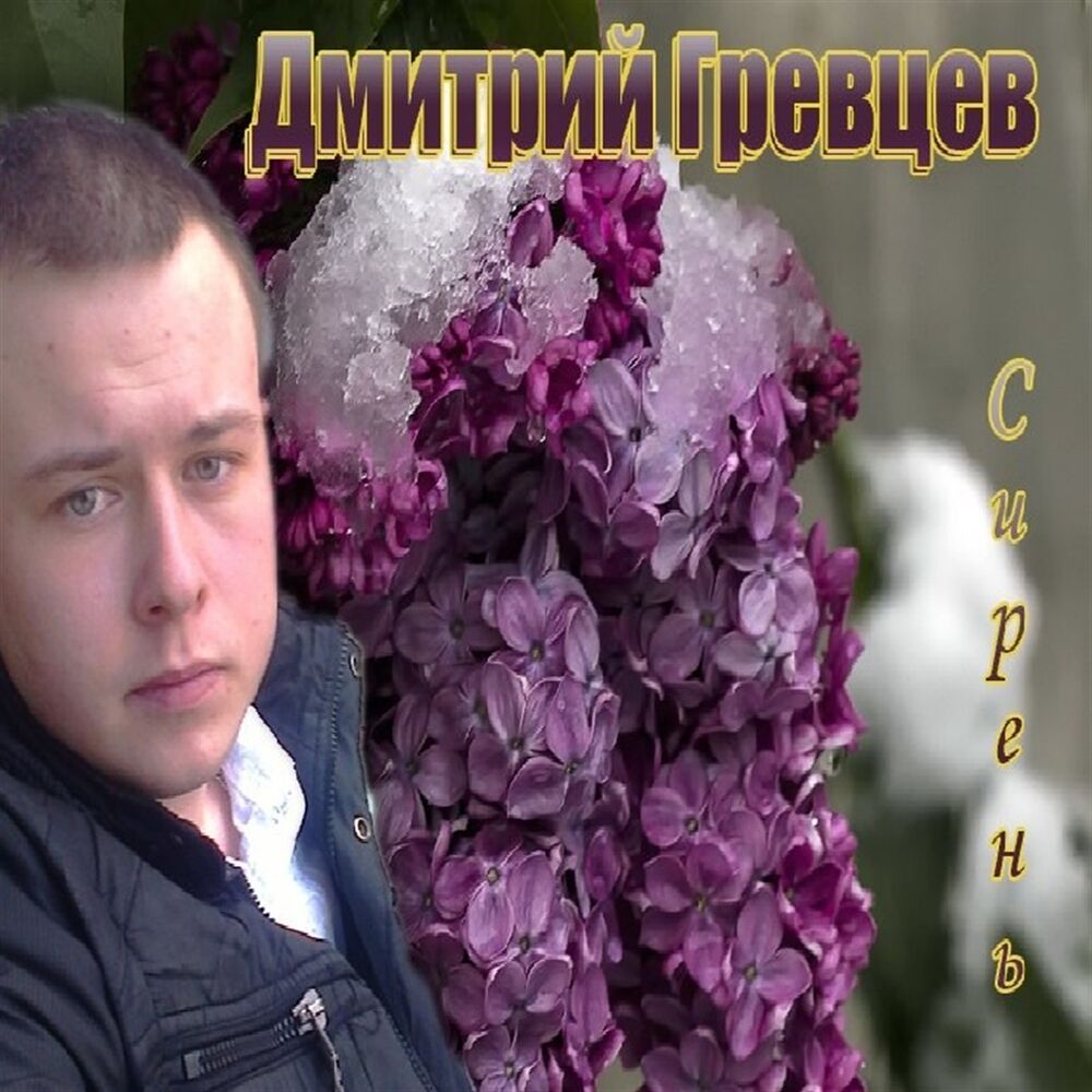 Дмитрий гревцев фото