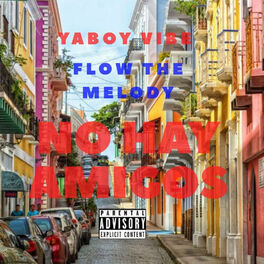Album cover of No Hay Amigos (feat. Flow the Melody)