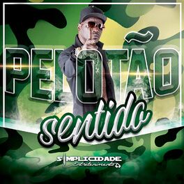 Album cover of Pelotão Sentido