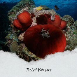 Album cover of Tucked Villagers