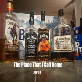 Album cover of The Place That I Call Home