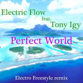 Album cover of Perfect World (Electro Freestyle remix)