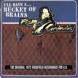 Album cover of A Bucket Of Brains