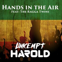 Album cover of Hands In The Air