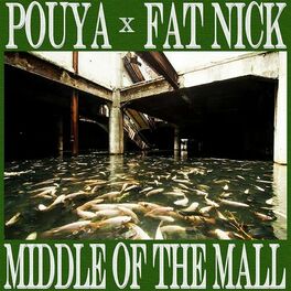 Album cover of Middle of the Mall