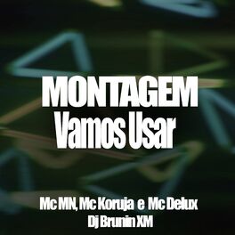 Album cover of Montagem Vamos Usar