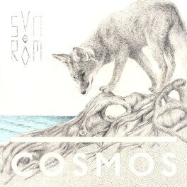 Album cover of Cosmos