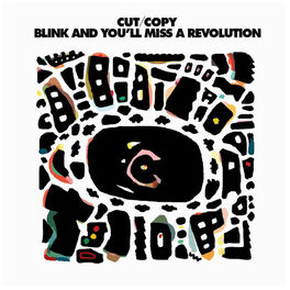 Album cover of Blink And You'll Miss A Revolution
