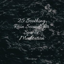 Album cover of 25 Soothing Rain Sounds for Spa & Meditation