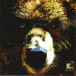 Album cover of The Bear