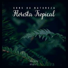 Album cover of Sons da Natureza: Floresta Tropical