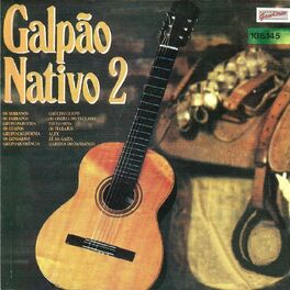 Album cover of Galpão Nativo Vol. 2