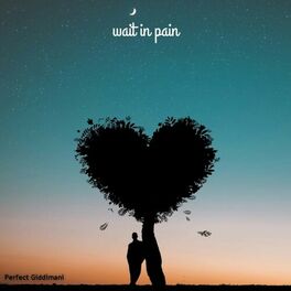 Album cover of Wait in Pain