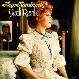 Album cover of Yedi Renk