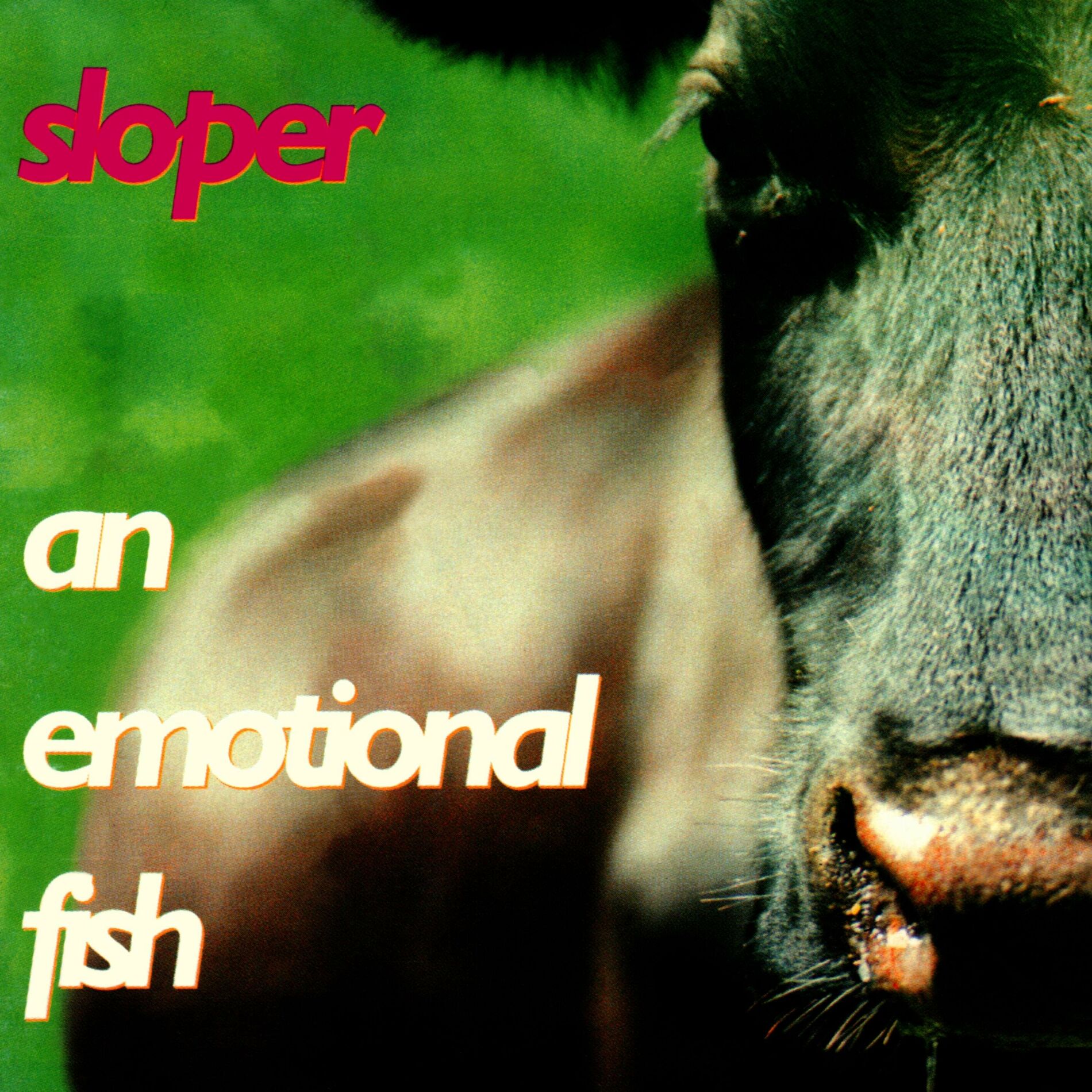 An Emotional Fish: albums, songs, playlists | Listen on Deezer