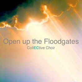 Album cover of Open Up the Floodgates