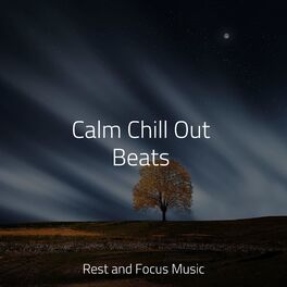 Album cover of Calm Chill Out Beats