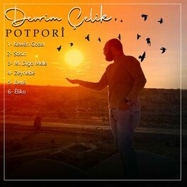 Album cover of Potporî: Kewên Gozel / Sosin / Mi Digo Melê / Zeynebê / Ewrê / Êliko