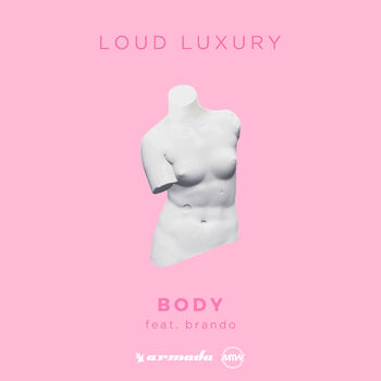 Body cover