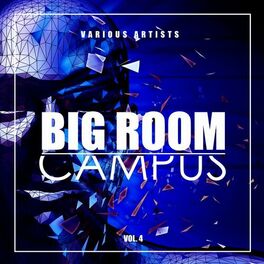 Album cover of Big Room Campus, Vol. 4