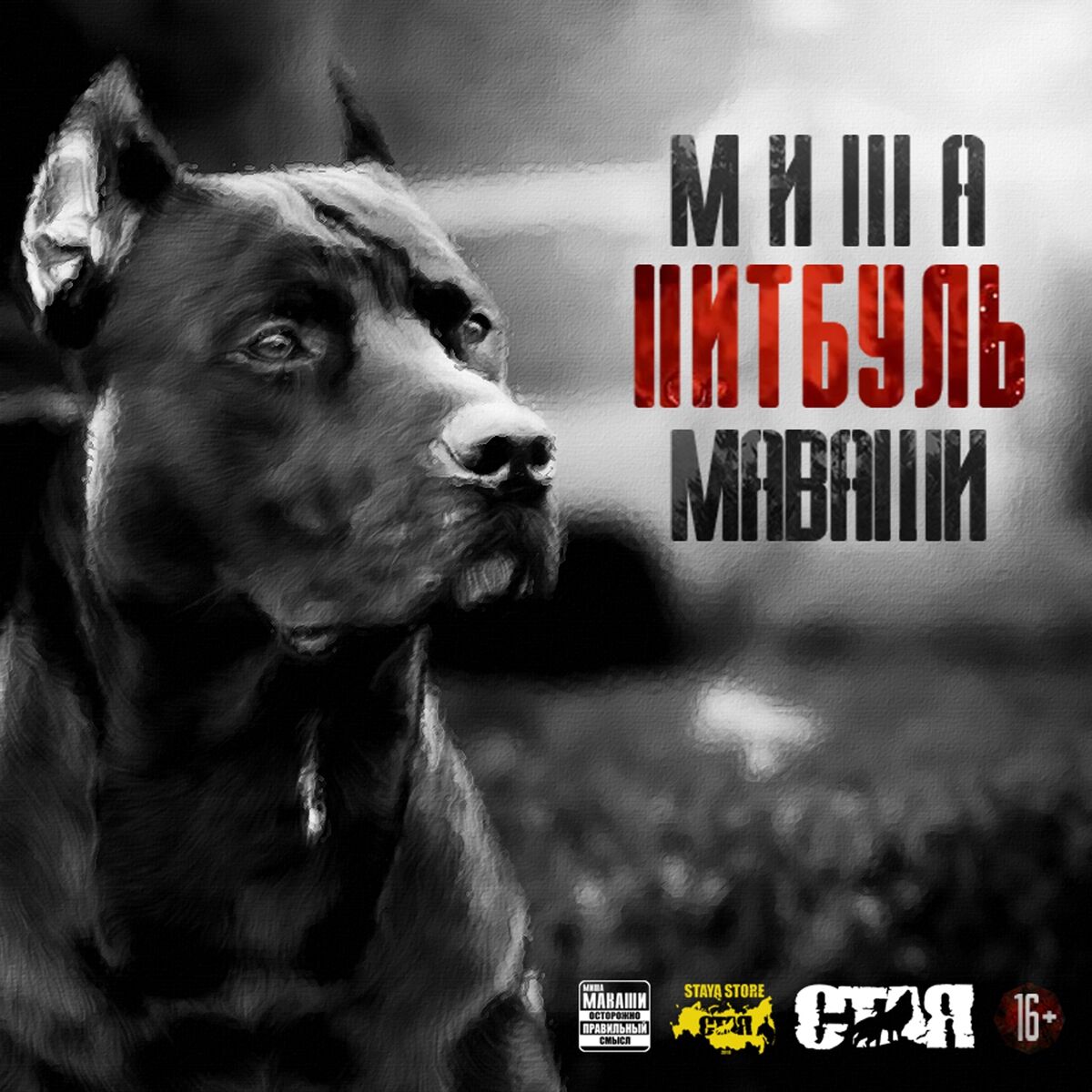 Миша Маваши - Питбуль: тексты и песни | Deezer