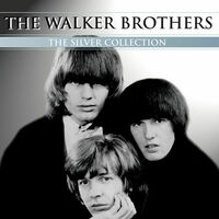 Missend Afhankelijk Evenement The Walker Brothers - The Silver Collection: lyrics and songs | Deezer