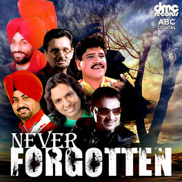 Album cover of Never Forgotten