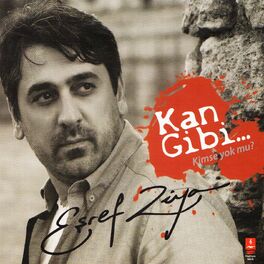 Album cover of Kan Gibi