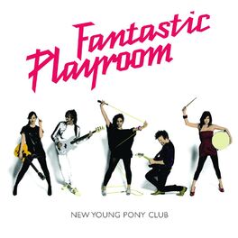 Album cover of Fantastic Playroom