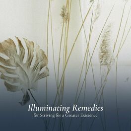 Album cover of Illuminating Remedies for Striving for a Greater Existence