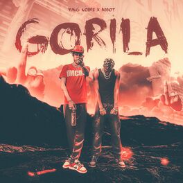 Album cover of Gorila