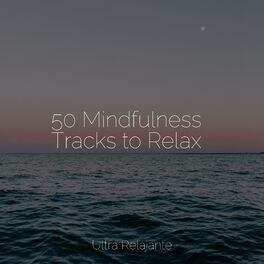 Album cover of 50 Mindfulness Tracks to Relax