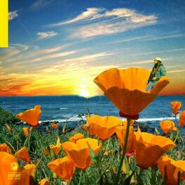 Album cover of California Poppy 2