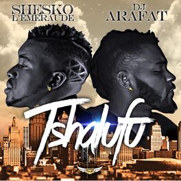 Album cover of Tshalufu