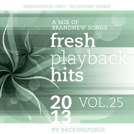 Album cover of Fresh Playback Hits - 2013 - Vol. 25