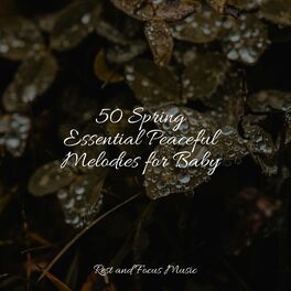 Album cover of 50 Spring Essential Peaceful Melodies for Baby