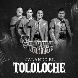 Album cover of Jalando el Tololoche