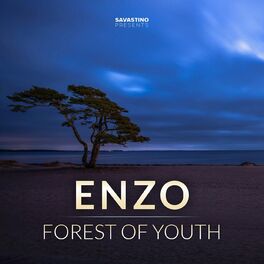 Album cover of FOREST OF YOUTH