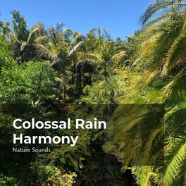 Album cover of Colossal Rain Harmony