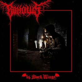 Album cover of 66 Black Wings