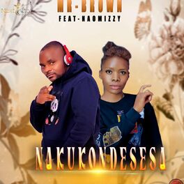Album cover of NAKUKONDESESA