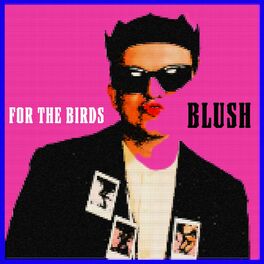 Album cover of For The Birds